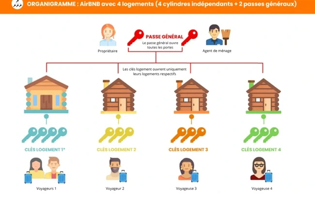 diagramme organigramme